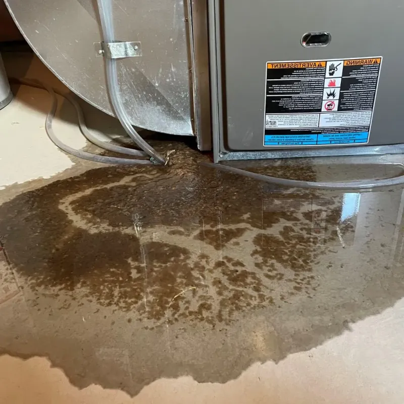 Pipe Burst and Leak Restoration in Hollister, MO
