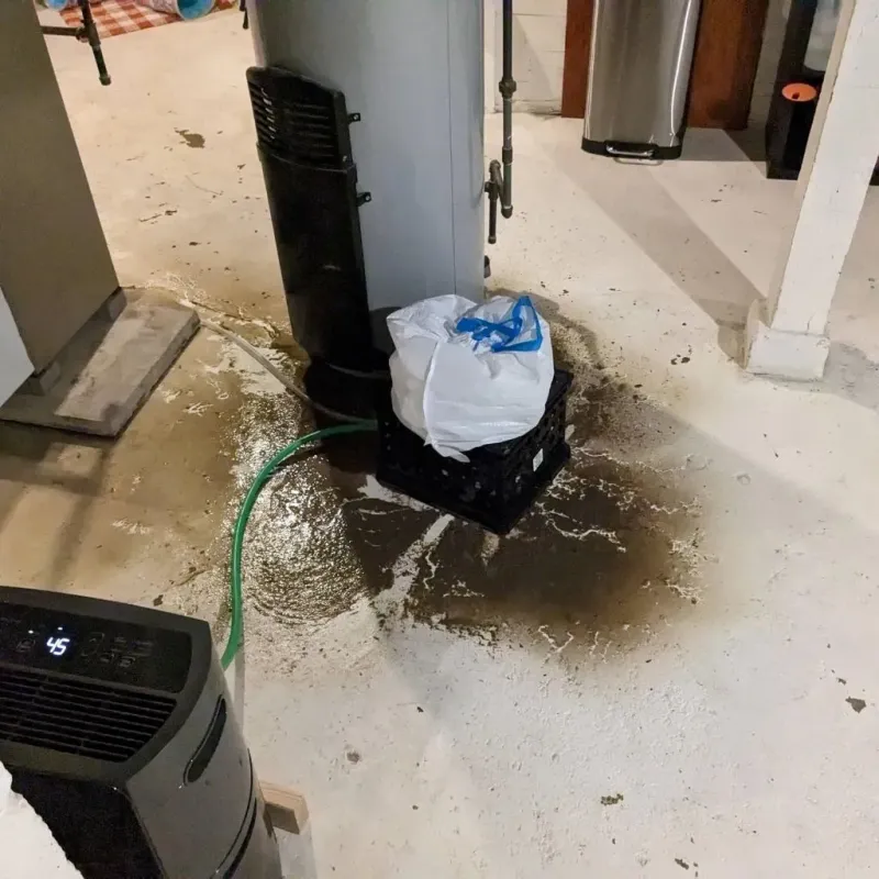Sewage Backup Cleanup Service in Hollister, MO
